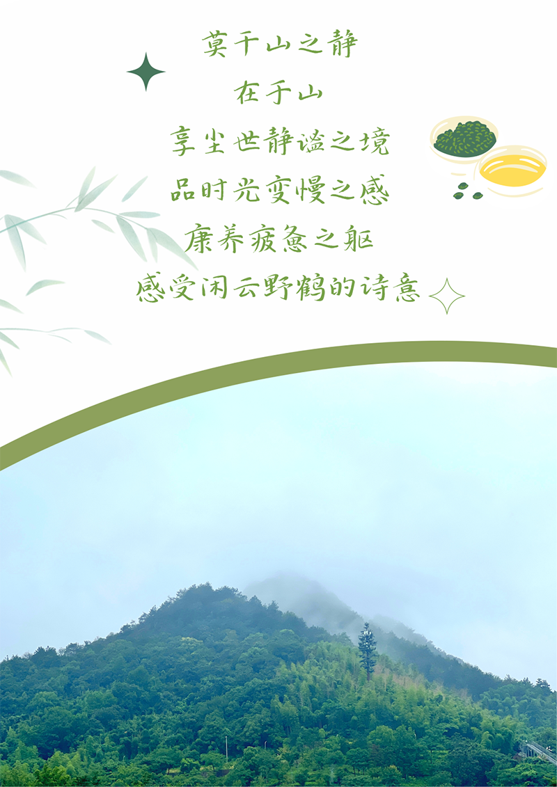 心心念廿 相伴东方国际 | 与德清相约 贺廿载诞辰